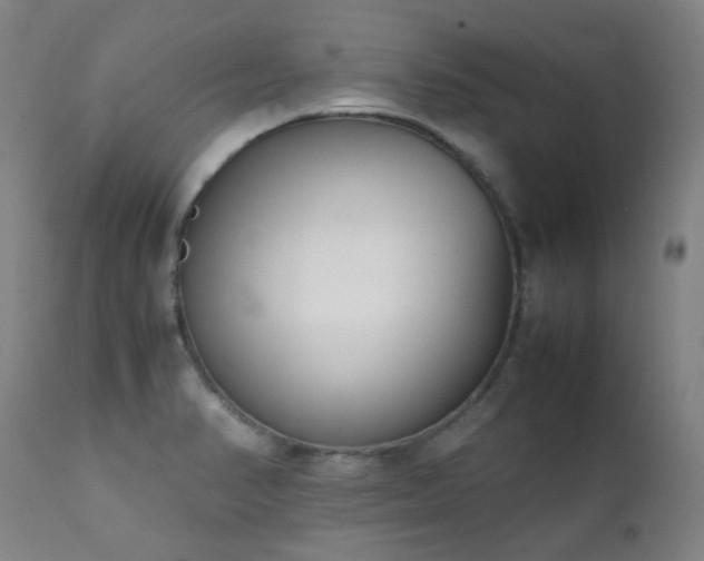 X0000111921374200907271238