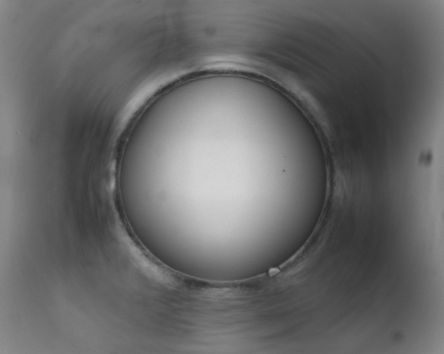 X0000111921376200907271238