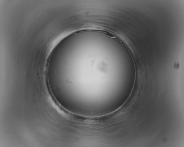 X0000111921379200907271238