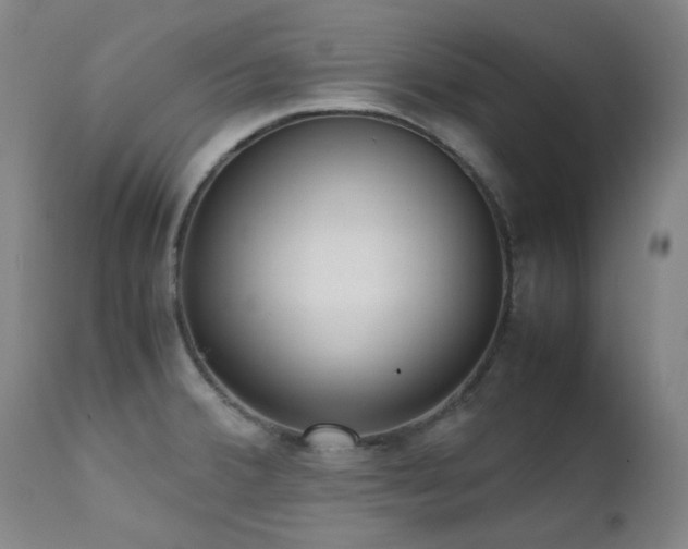 X0000111921380200907271238