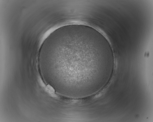 X0000111921381200907271238