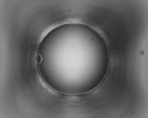X0000111921382200907271238