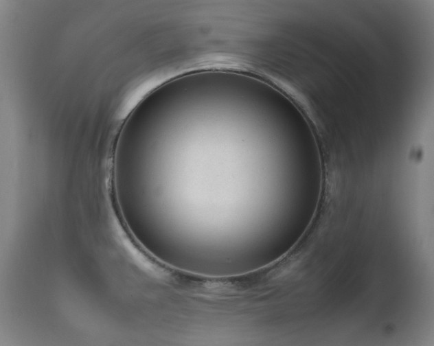 X0000111921383200907271238
