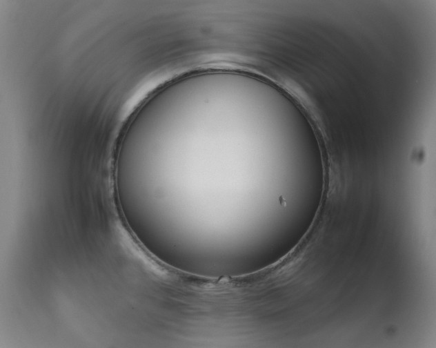 X0000111921384200907271238