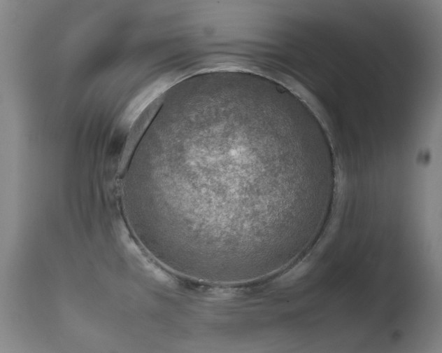 X0000111921385200907271238