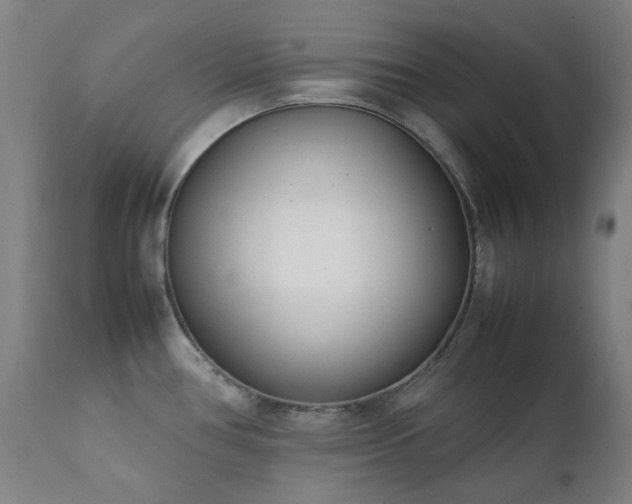 X0000111921386200907271238