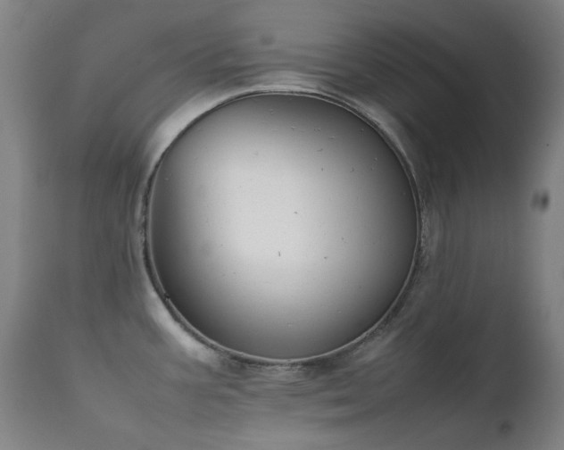 X0000111921387200907271238