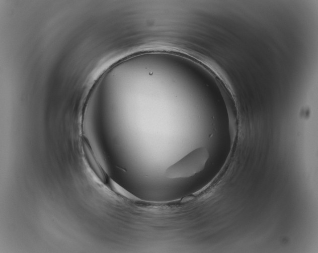 X0000111921388200907271238