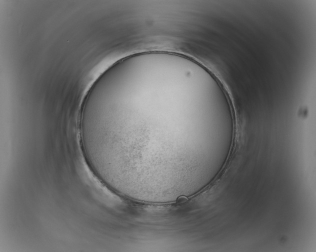X0000111921389200907271238