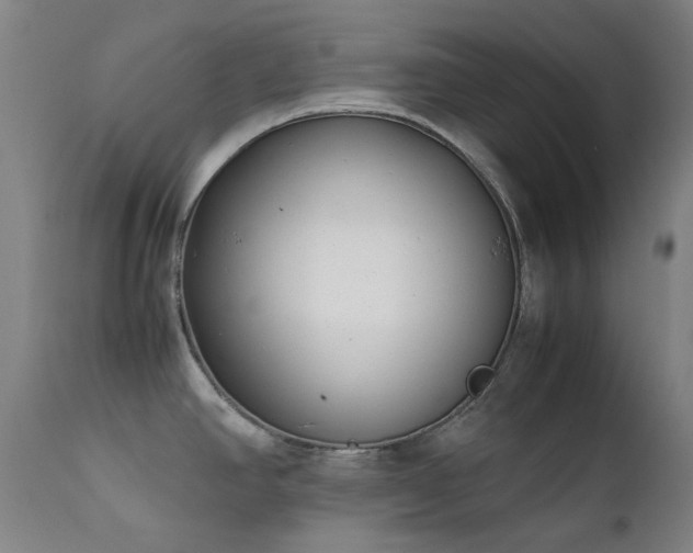 X0000111921390200907271238