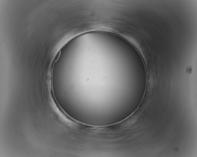 X0000111921391200907271238
