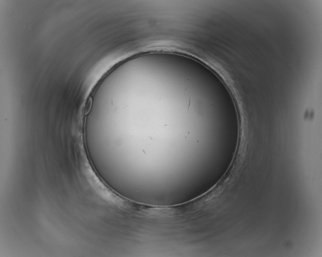 X0000111921392200907271238