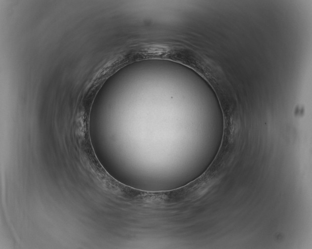 X0000111921394200907271237