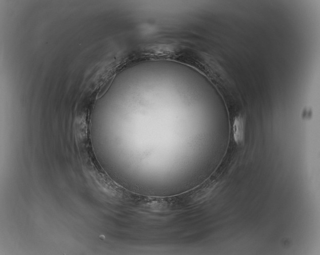 X0000111921395200907271237