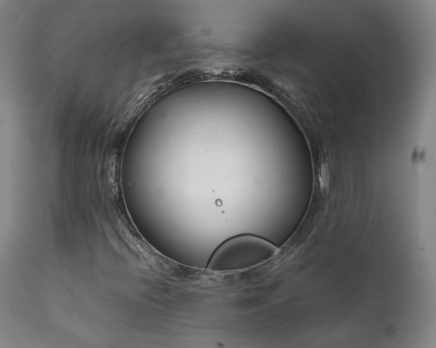 X0000111921396200907271237