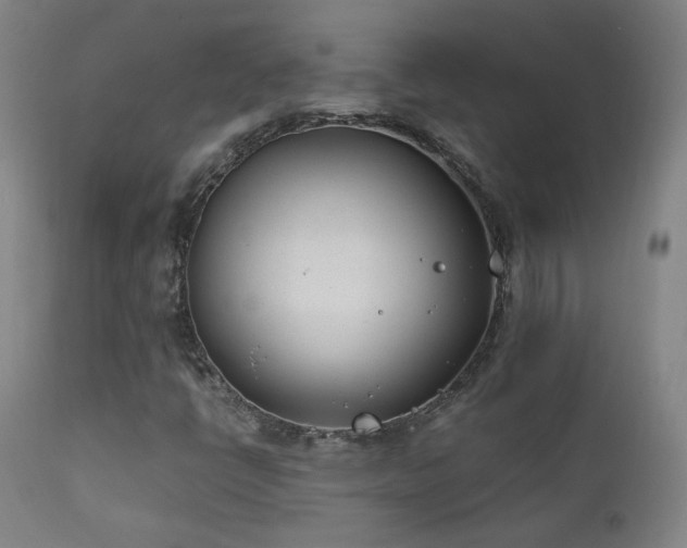 X0000111921398200907271237
