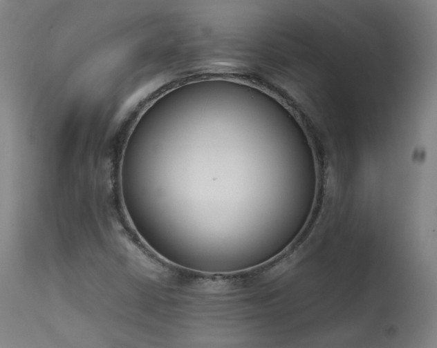 X0000111921402200907271237