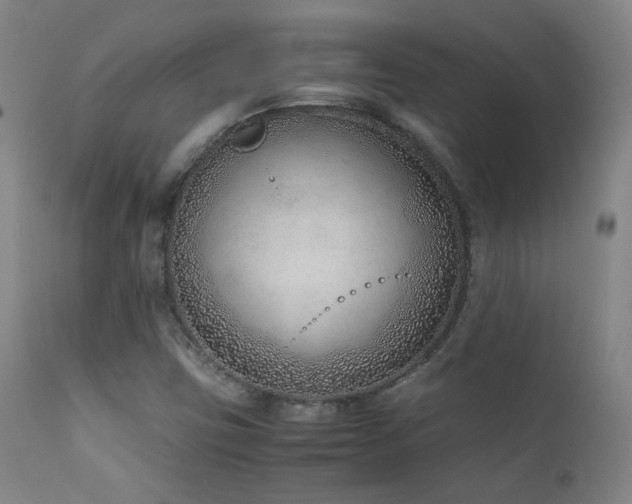 X0000111921403200907271237