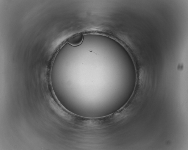 X0000111921404200907271237