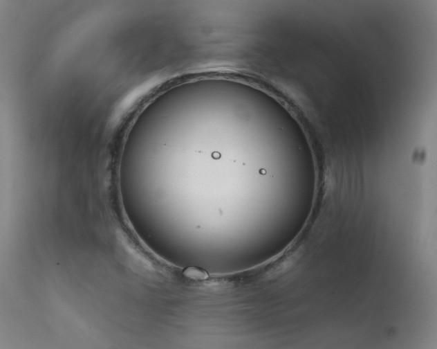 X0000111921406200907271237