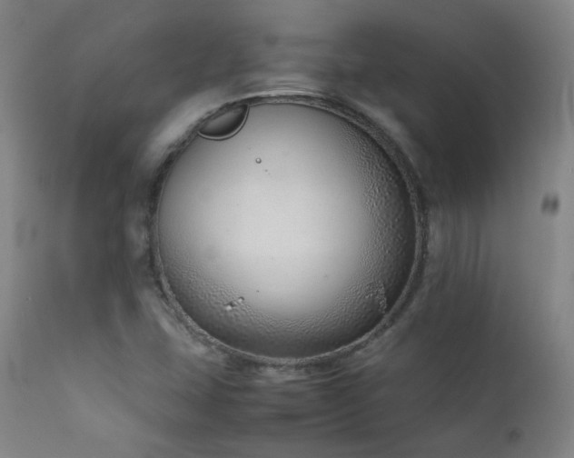 X0000111921407200907271237