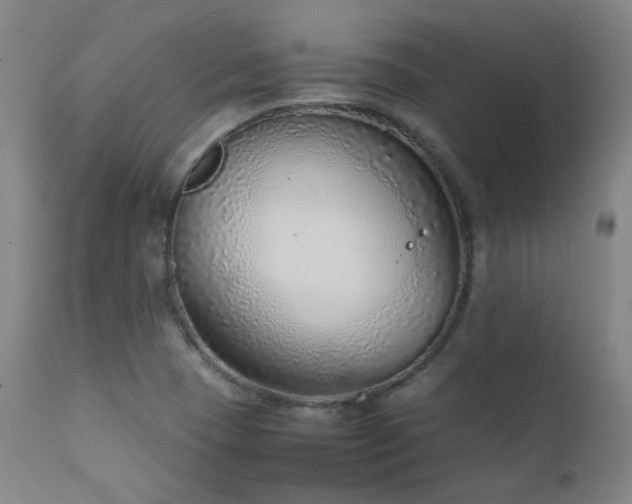 X0000111921409200907271237