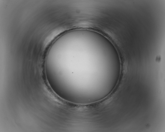 X0000111921410200907271237