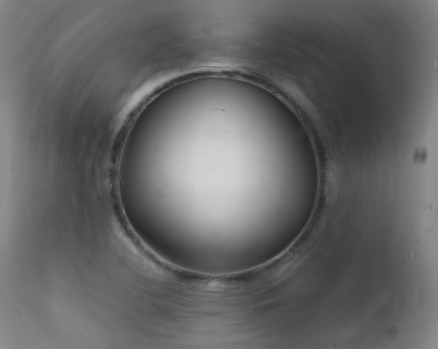 X0000111921412200907271237