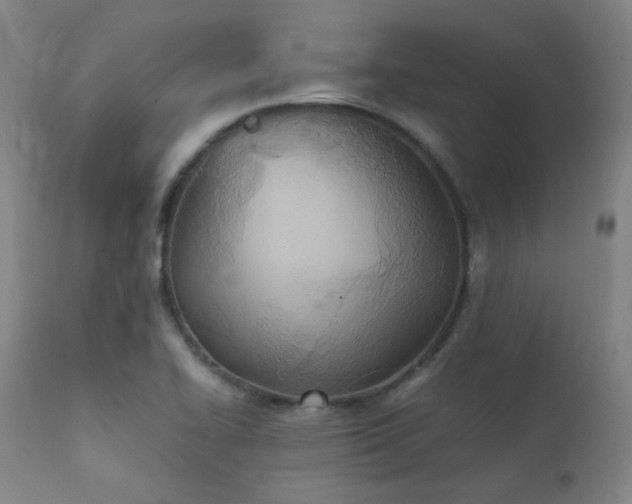 X0000111921414200907271237