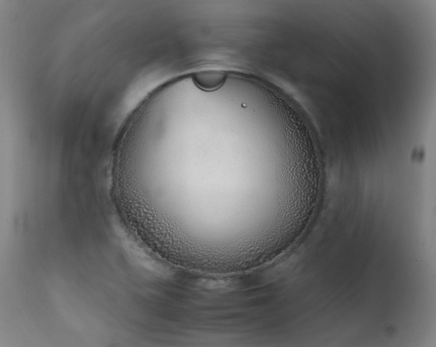 X0000111921415200907271237