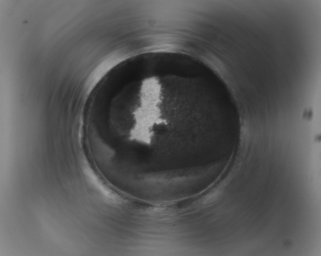 X0000111921418200907271237