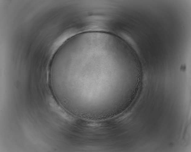 X0000111921419200907271237