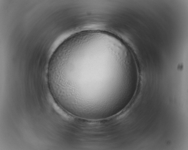 X0000111921421200907271237