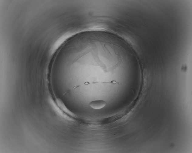 X0000111921422200907271237