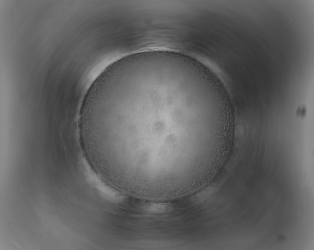 X0000111921423200907271237