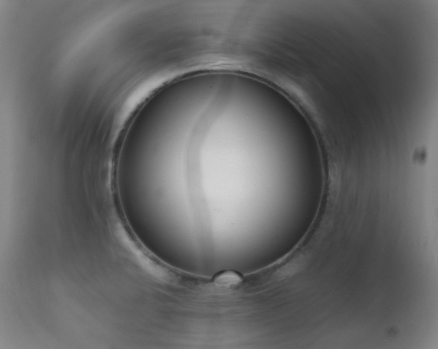 X0000111921424200907271237