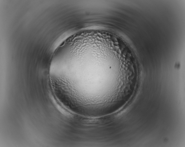 X0000111921425200907271237