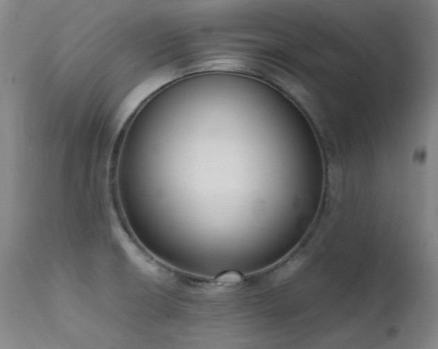 X0000111921426200907271237