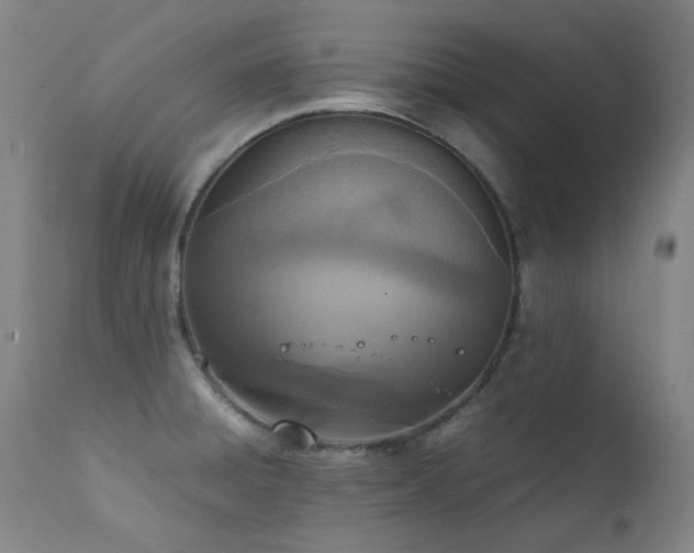 X0000111921428200907271237