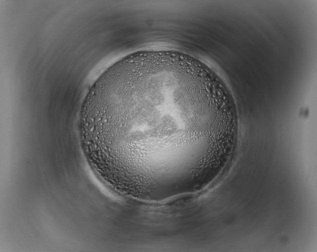 X0000111921429200907271237