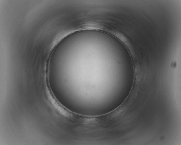 X0000111921431200907271237