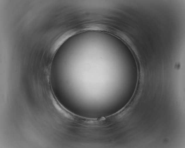 X0000111921433200907271237