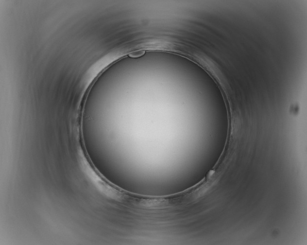 X0000111921434200907271237