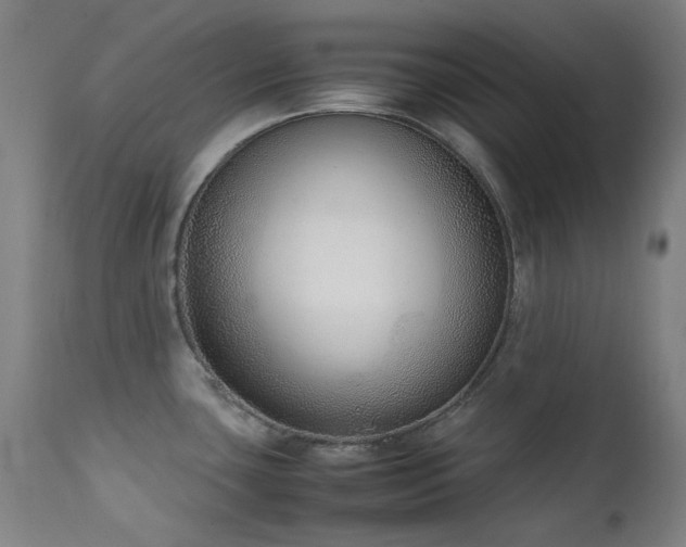 X0000111921435200907271237