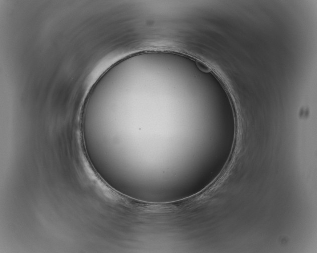 X0000111921440200907271238