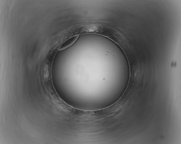 X0000111921442200907271237