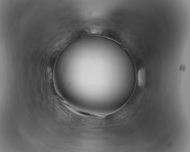 X0000111921443200907271237