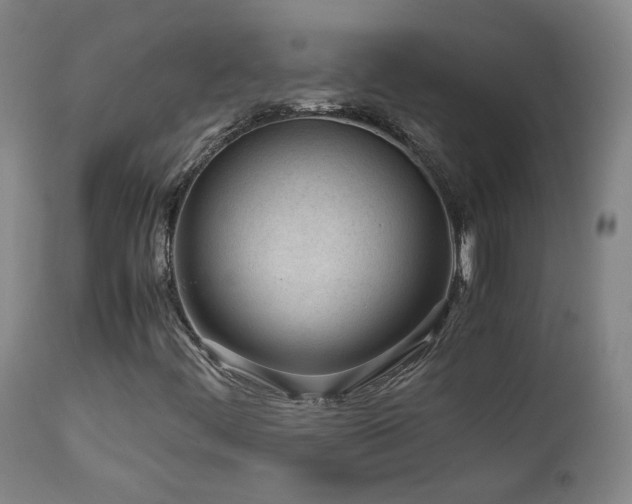 X0000111921444200907271237