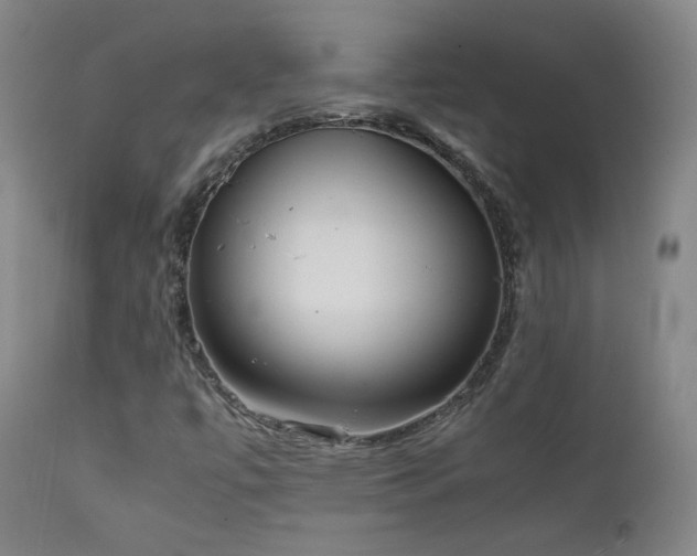 X0000111921447200907271237