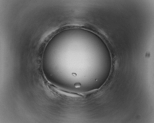X0000111921448200907271237